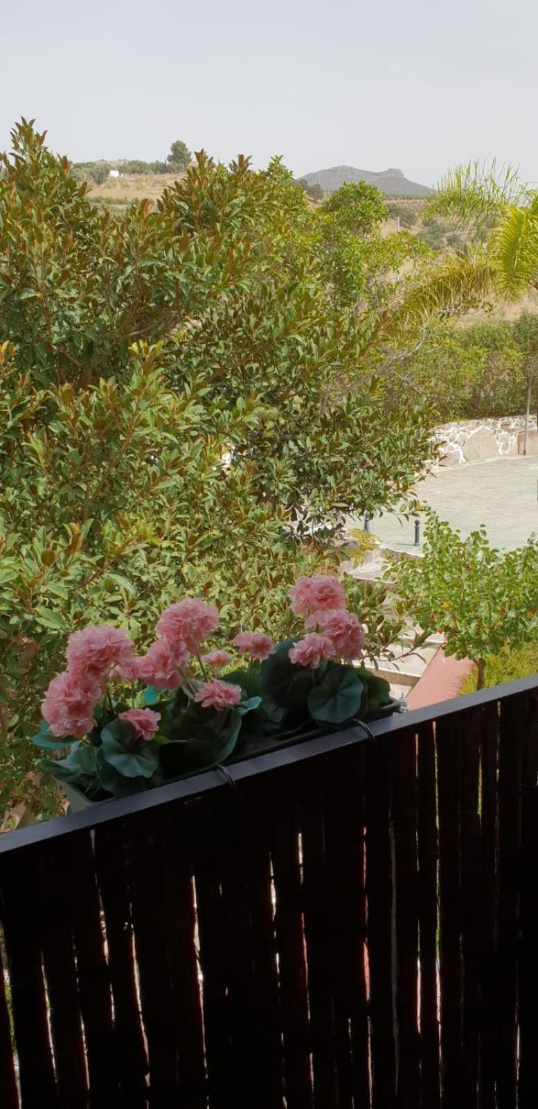 Hotel Cortijo De Salia Alcaucin Ruang foto